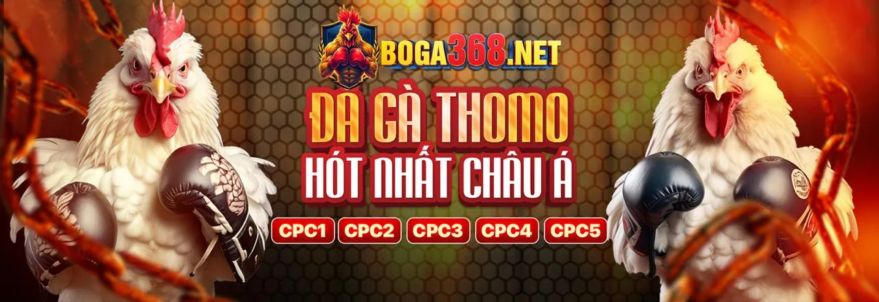 Hình ảnh giới thiệu về nền tảng giải trí trực tuyến vz99 hiện đang mở